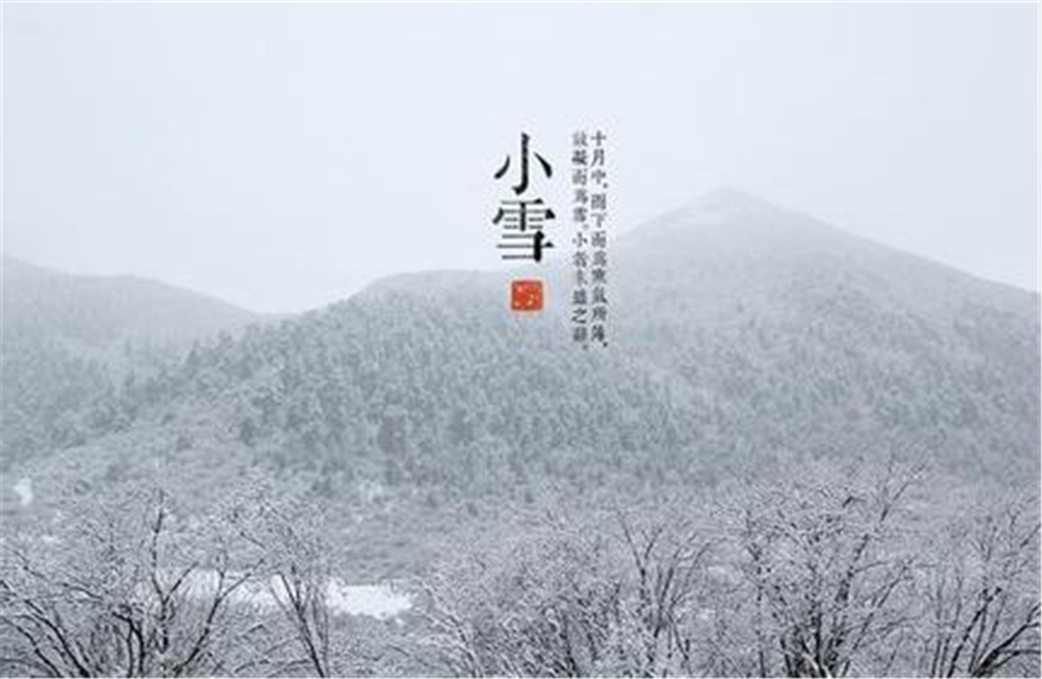 小雪節(jié)氣，探尋節(jié)氣文化與自然奧秘的旅程