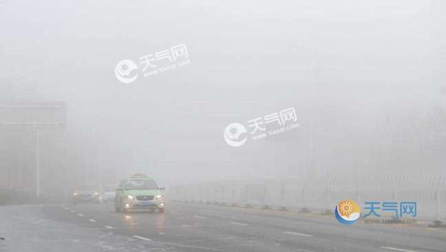 大霧與大雨的交織，自然的神秘面紗探索