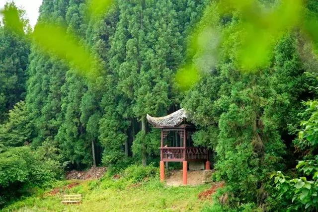 曬中華文化，博大精深，歷久彌新的傳承與展示