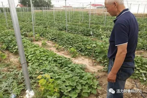 手工耿個人獨資工作室注銷回顧與反思，創(chuàng)業(yè)之路的成敗啟示