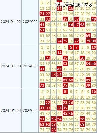 2024天天精選彩，詳盡數(shù)據(jù)解析及FLB400.96旗艦版介紹