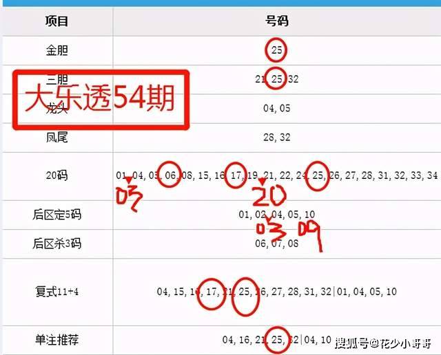 新澳門彩4949最新開獎記錄,綜合判斷解析解答_薄荷版507.39