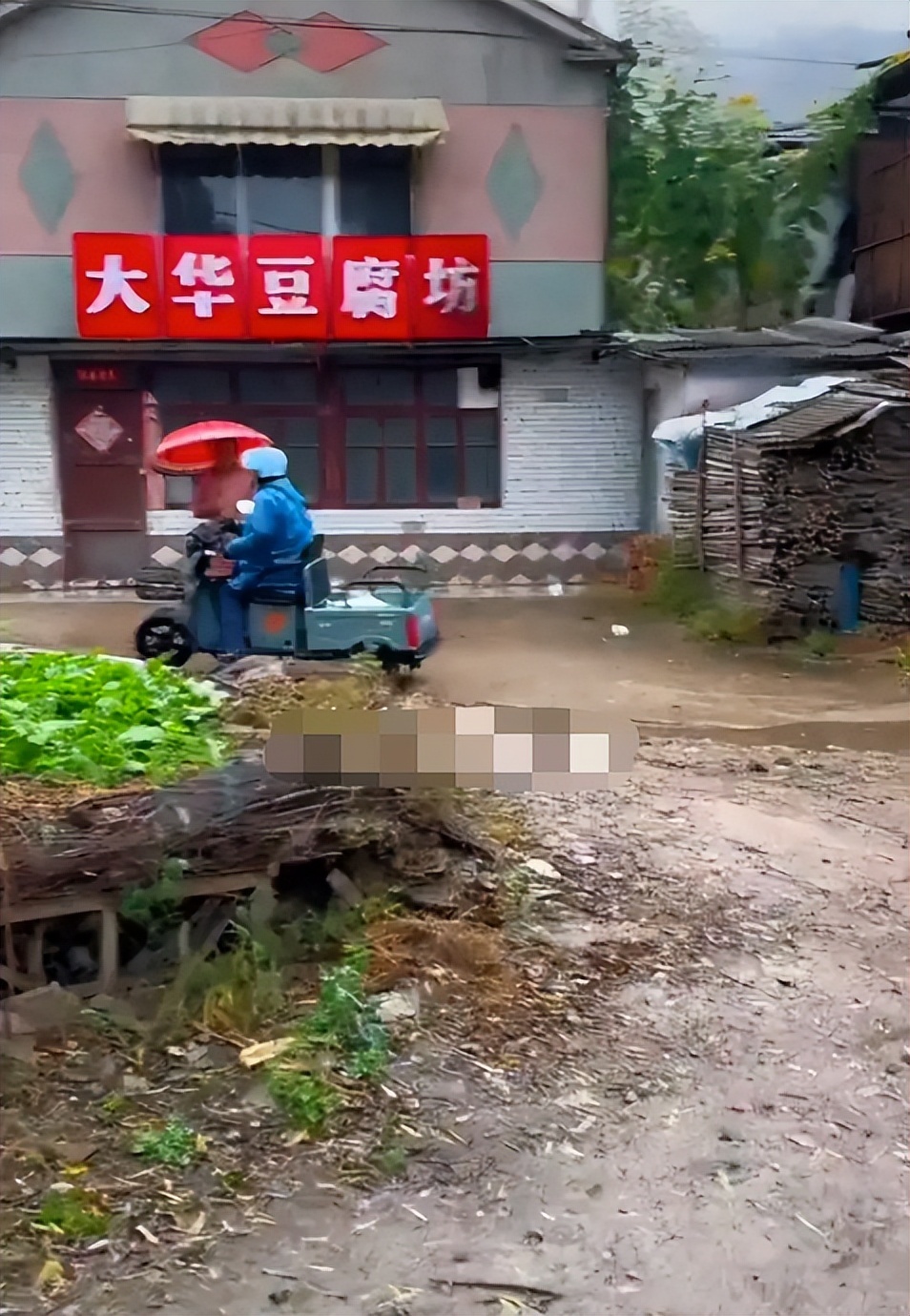 東北雨姐粉條廠家遭遇停產(chǎn)停業(yè)困境，引發(fā)深思