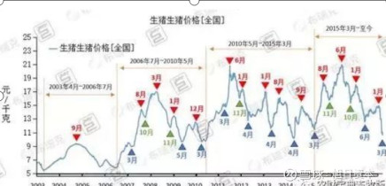 最新羊周期市場趨勢及未來發(fā)展分析展望