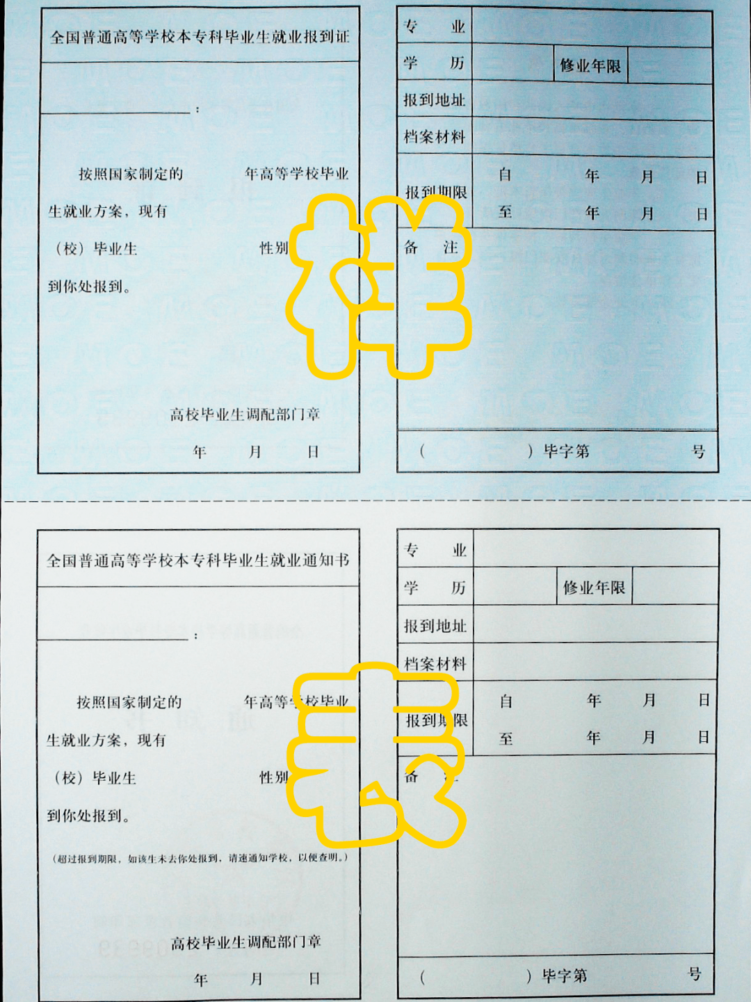 天目湖最新消息解析，獲取指南與深度理解資訊之道