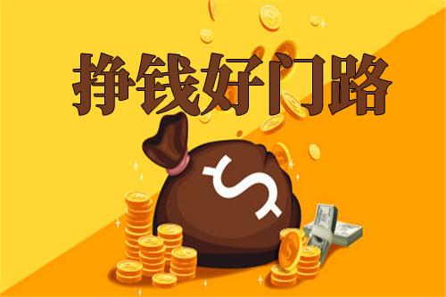 最新掙錢(qián)項(xiàng)目觀點(diǎn)論述與探索