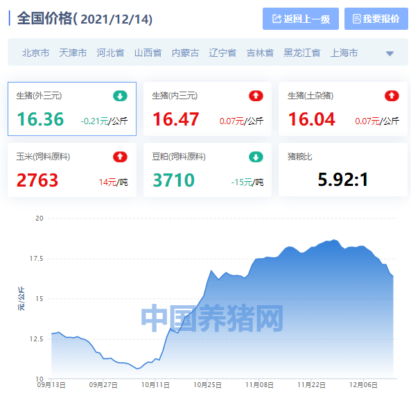 今日全國(guó)生豬最新價(jià)格，科技與生活的無(wú)縫對(duì)接